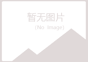 青岛四方冰夏咨询有限公司